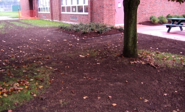 Gallery: Brocton Central School